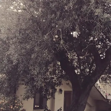 La Marrata * أولياسترو تشيلنتو